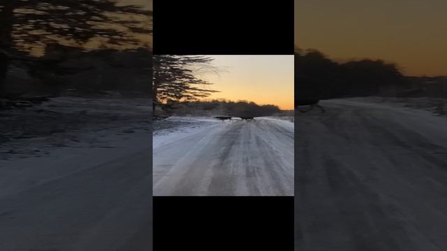 Карелия🤪