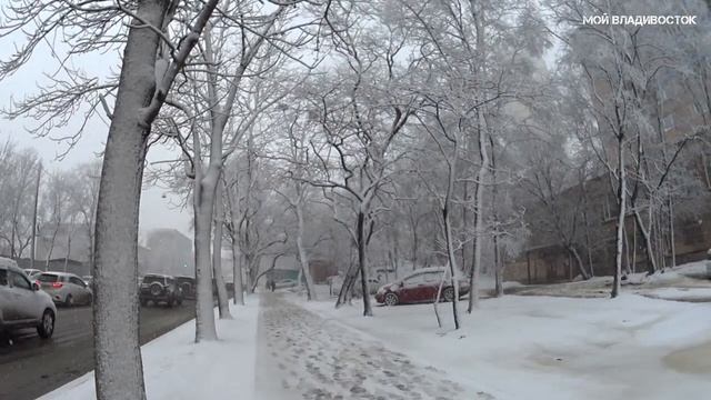 Мартовский снег во Владивостоке (19 марта 2020).