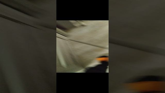 VID_20241210_183642.mp4