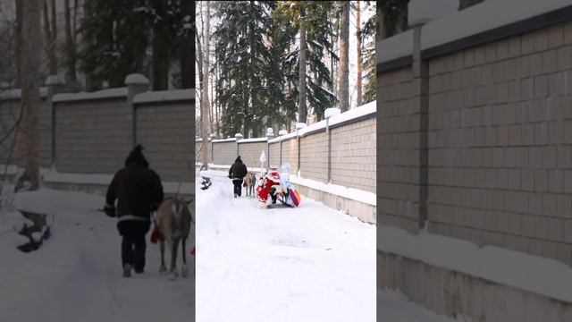 Алина и Павел Буре (Новый год 2021)