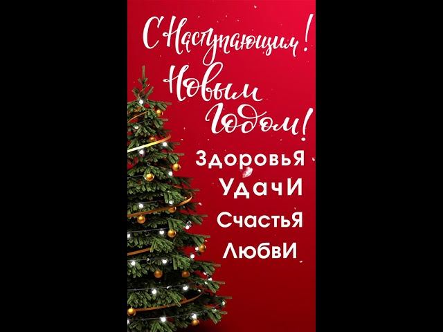 С НОВЫМ ГОДОМ !!!