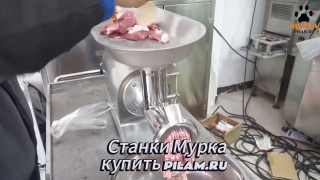 Мурка Мясорубка электрическая купить на сайте pilam.ru