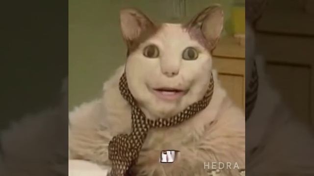 1000002799.mp4