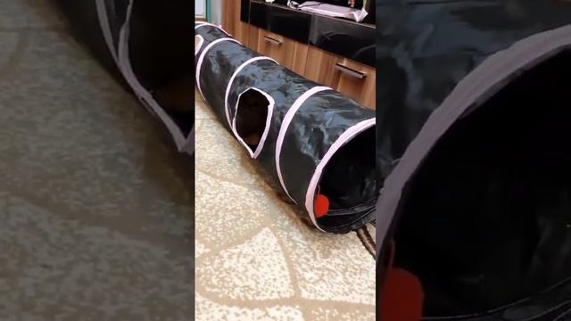1000011413.mp4