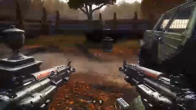 Вольф новый порядок