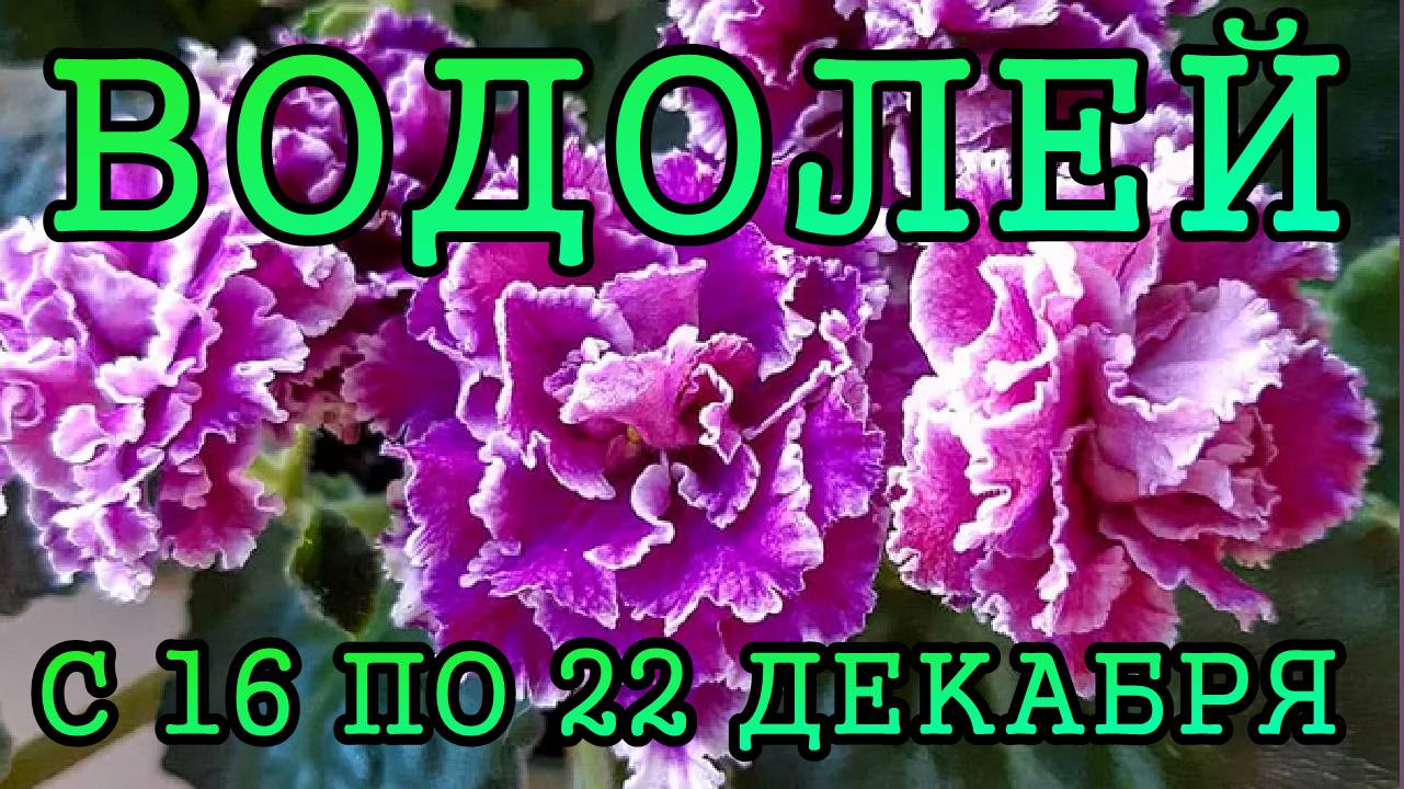 ВОДОЛЕЙ таро прогноз на неделю с 16 по 22 ДЕКАБРЯ 2024 года.