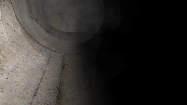 S.T.A.L.K.E.R. Ветер времени