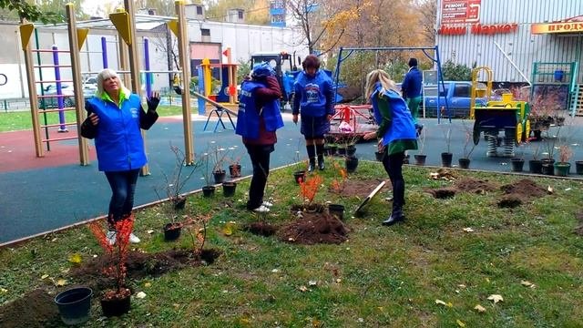 Высадка кустарников в Капотне