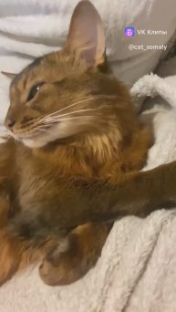 Милота ❤❤❤