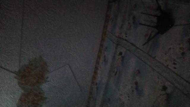 VID_20241211_150700.mp4