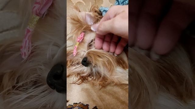 1000229162.mp4