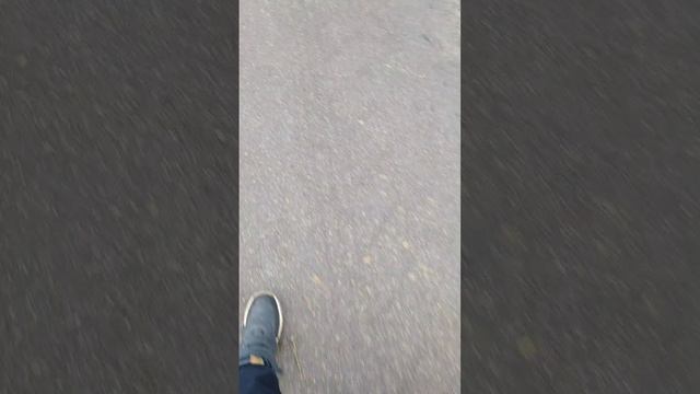 прогулка со школы