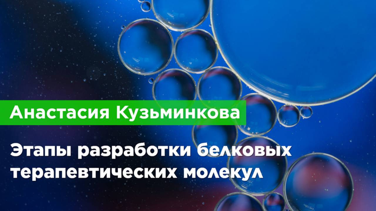 Анастасия Кузьминкова — Этапы разработки белковых терапевтических молекул