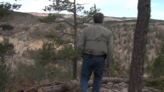 The Black Hills and The Mountain Pine Beetle | SDPB Documentary