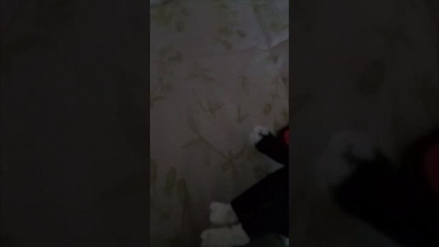 #кит#это ко#бс#