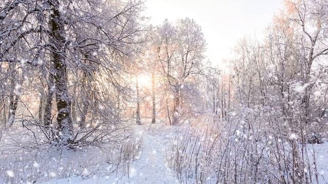 Best Christmas Songs of All Time🎄Relaxing Christmas Carols✨Top Christmas Songs 2025