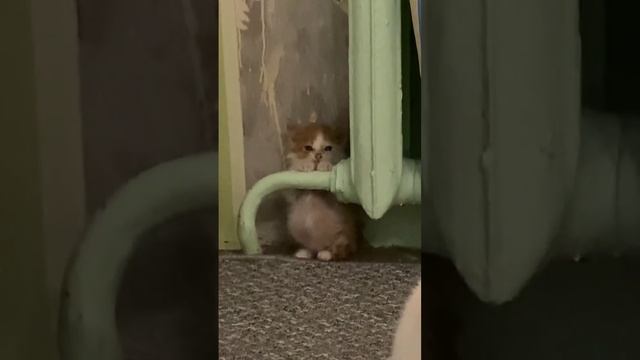 Бррррр, холадна...