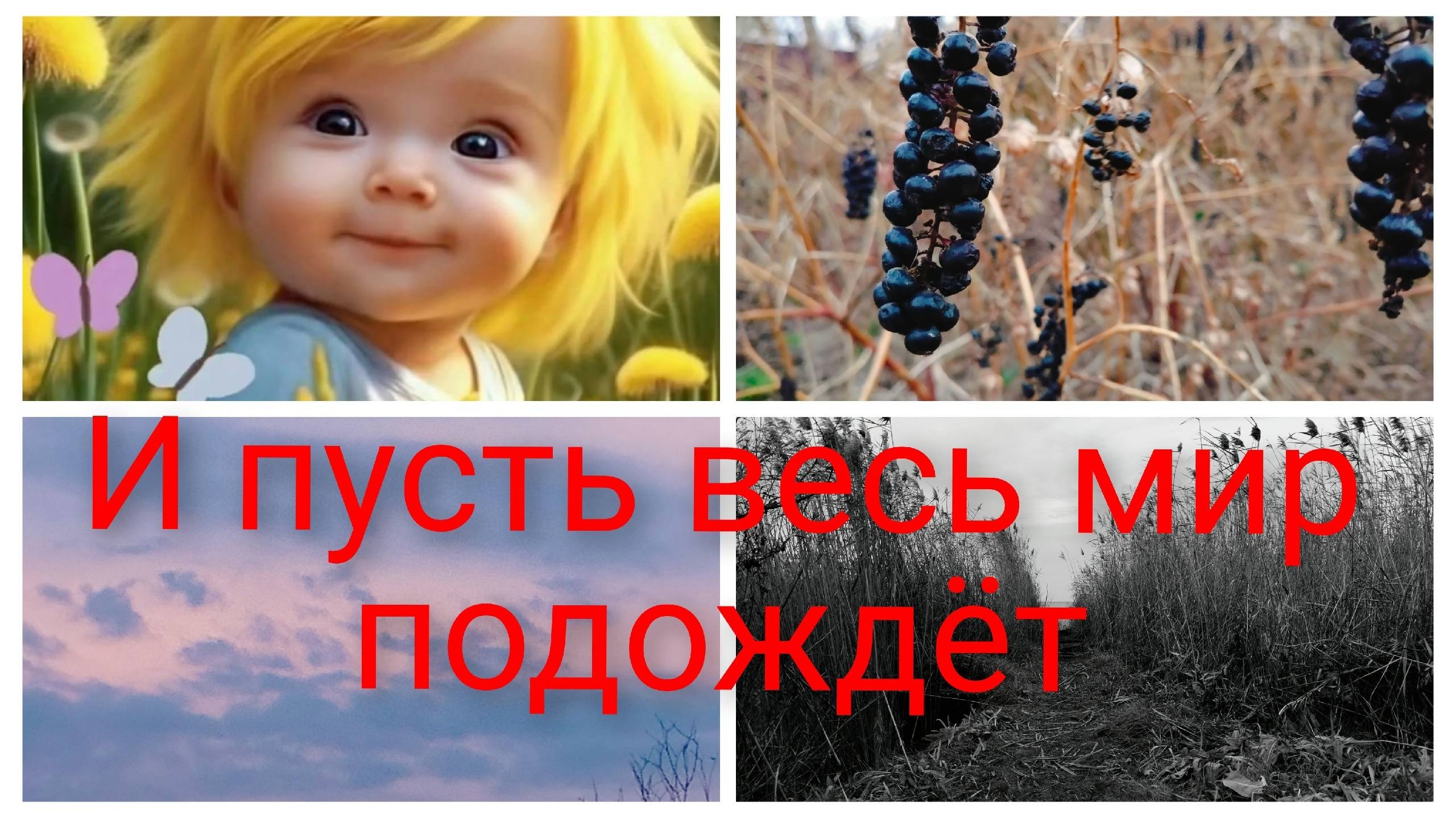 Не много лень.Вкусный подарок.И пусть весь мир подождёт.
