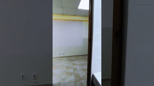 video5386863177961072775