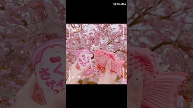 🍓💮🩷🦄🍡🍮