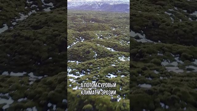 Почему в Исландии нет деревьев?🌳 #путешествия #пейзажи #деревья #природа #Экология #ИнтересныеФакт