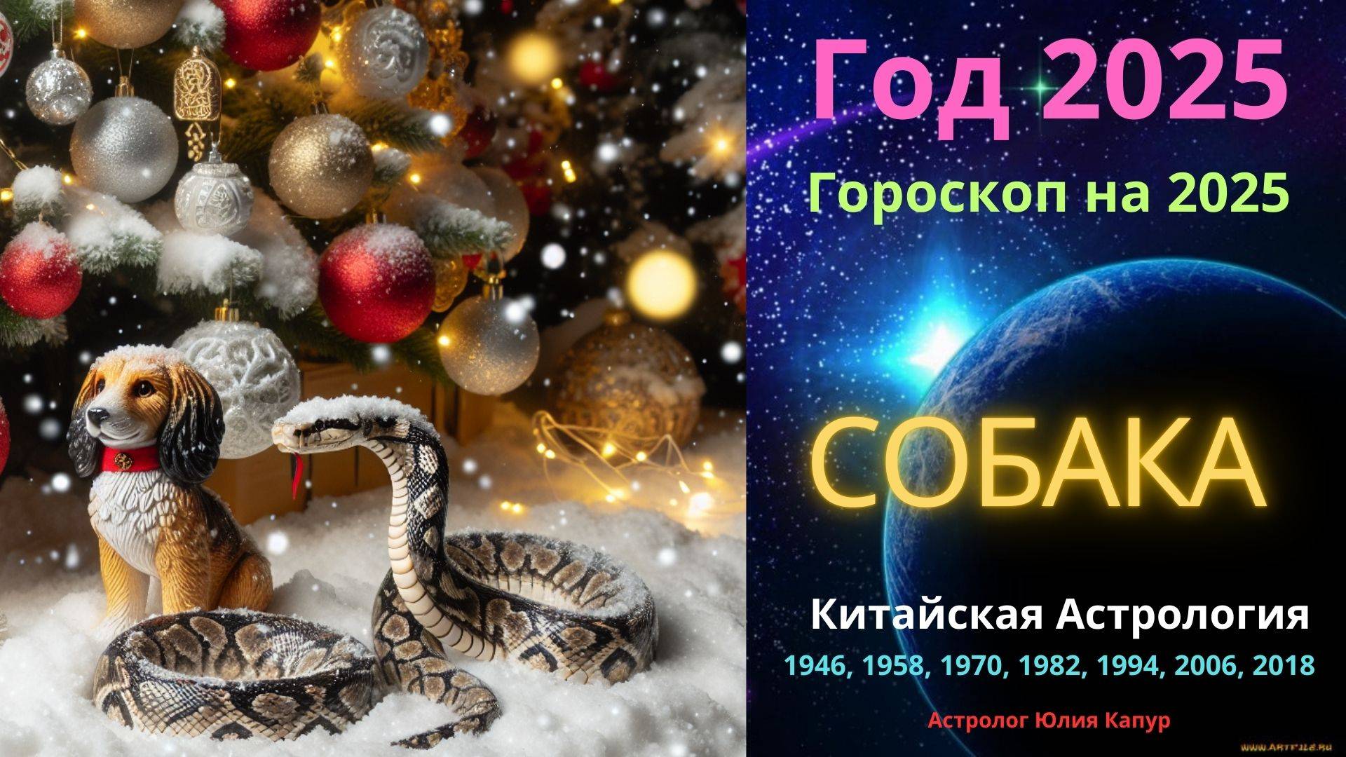 Собака! Гороскоп на 2025 год! от Юлии Капур