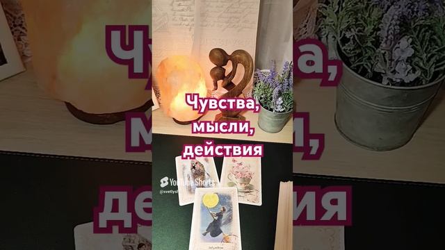 ЧУВСТВА, МЫСЛИ, ДЕЙСТВИЯ гаданиеонлайн