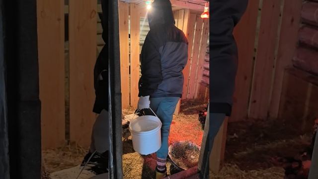 lv_0_20241210130303.mp4