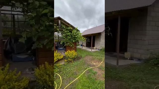 1000525135.mp4 Акбердино