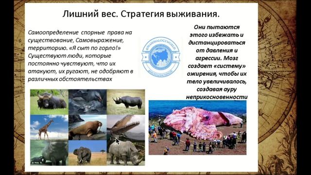 ВЕС. ИЗБЫТОЧНИЙ ИЛИ НЕДОСТАТОЧНЫЙ. СТРАТЕГИИ ОРГАНИЗМА. МУСТАФИН ЧИНГИС 78104653497Ю ОБУЧЕНИЕ.