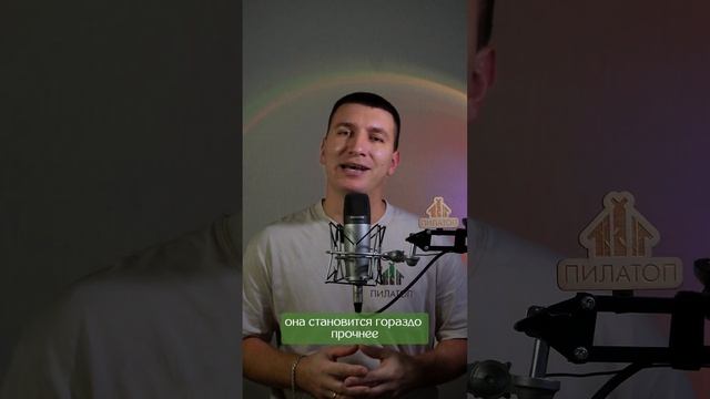 Про сушку древесины