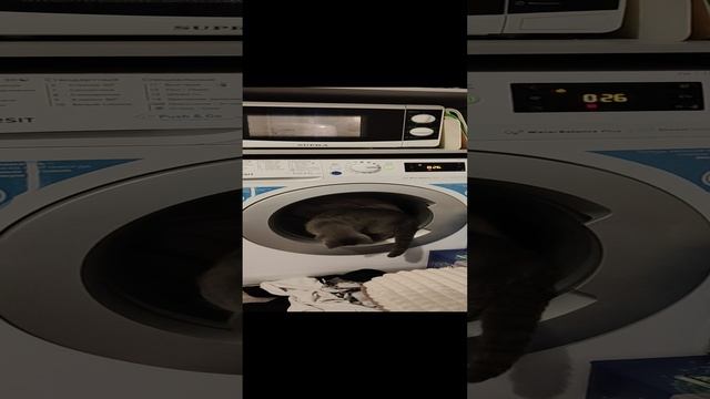 VID20241211190949.mp4