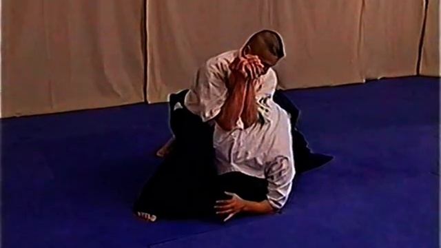 Фуджи Рю / Джиу джитсу / Tai Jitsu Fuji Ryu