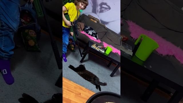 Пиз#ец котенку#каменскуральский #automobile #страшная #shortvideo #обзор #топ #врек #котики