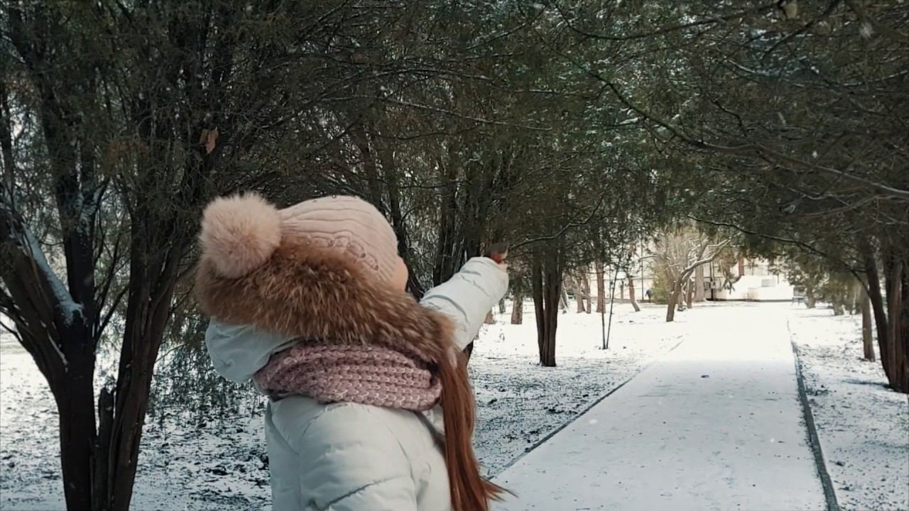 Симферополь, Парк КФУ. Зарянка ест с руки