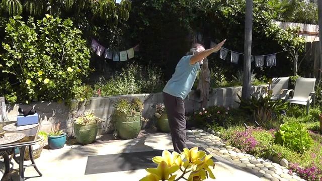 Ray Kolbe leads a 1 Hour, Level 1 Yoga practice in Backyard 4-4-20