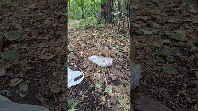 Всем стоять! Это ограбление!