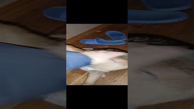 1000100682.mp4