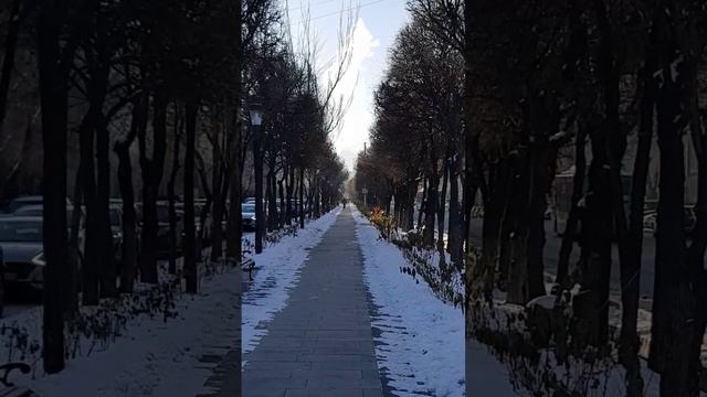 Утро Алматы. 11.12.2024.
