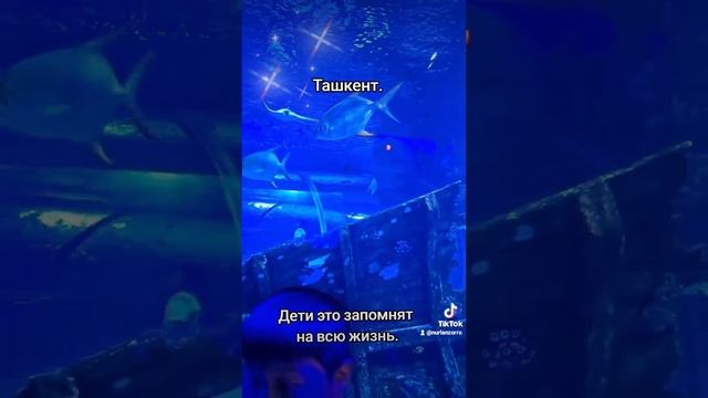 Ташкент