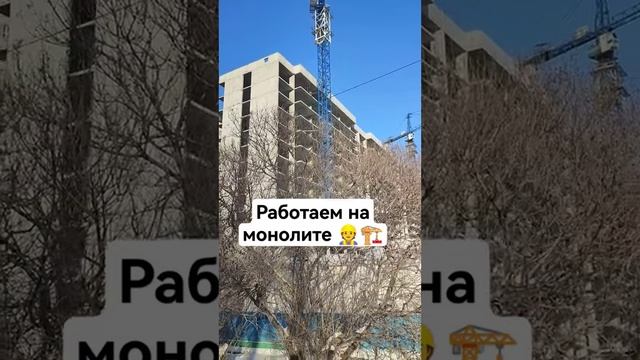 Как собирают башенный кран #shorts #shortsclip #строительство #стройка #стройкироссии #новосибирск
