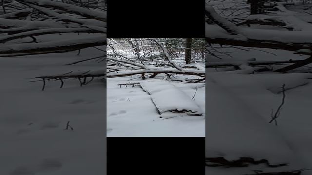 1000016073.mp4