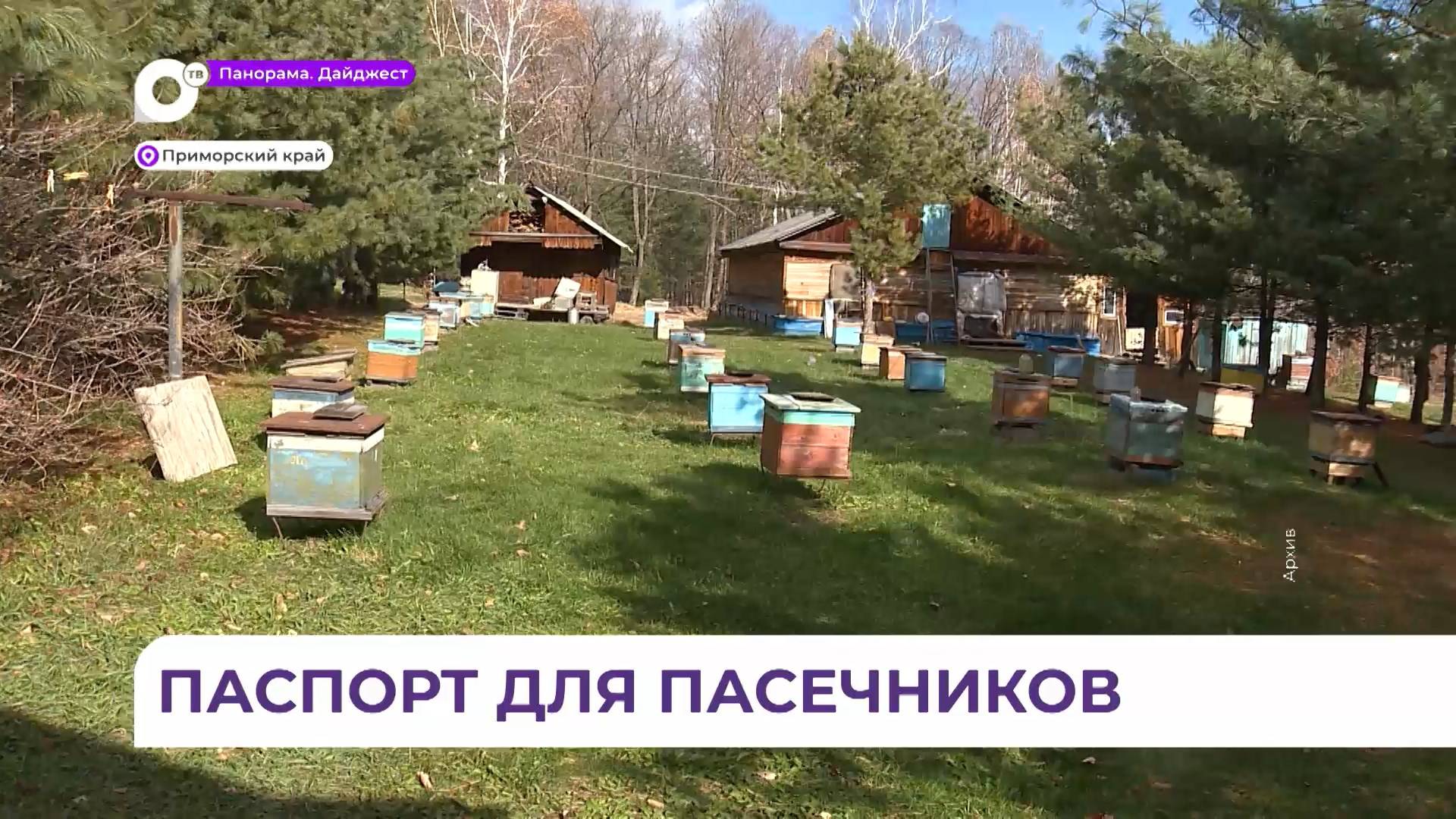 Приморские пасечники получат паспорт