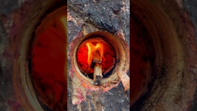 Необычно поесть хочется- можно и заморочиться! 🔥😁