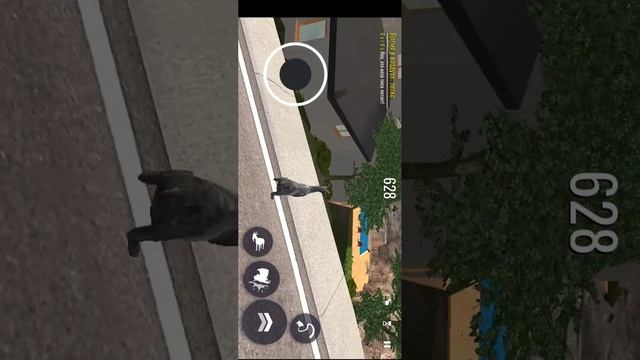 SVID_20241211_123320_1.mp4