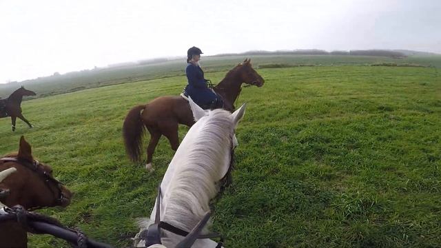 Parforsní hon_foxhunting_Schleppjagd_MARTINICE-DRAHENICE 2017