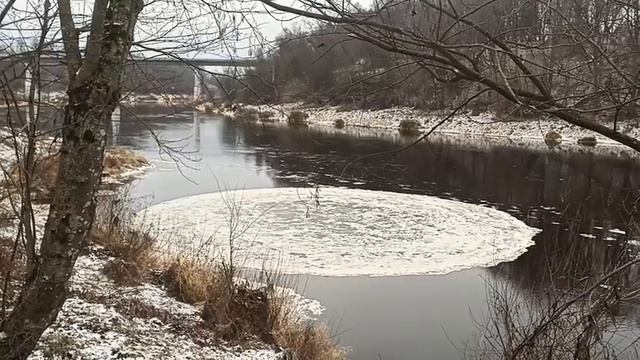 В Новгородской области на водоемах заметили «идеально ровные окружности