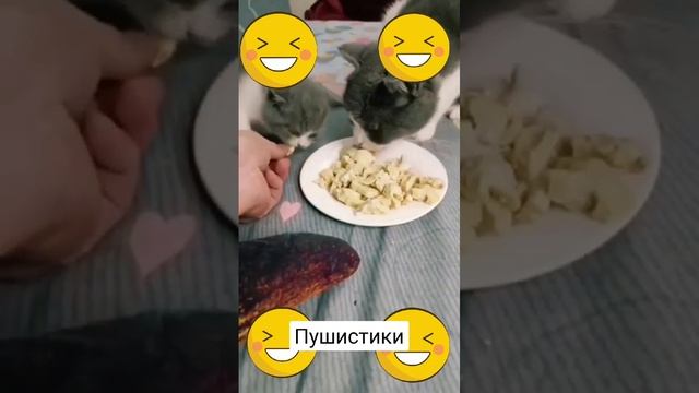 Зверский аппетит