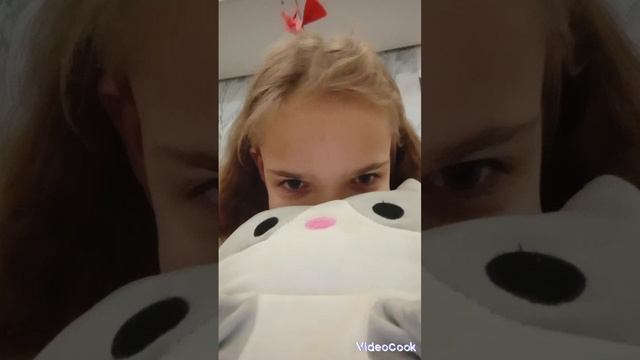 всем спокойной ночи