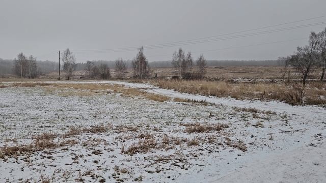 З/у с к. н. 50:28:0080203:684, расположенный по адресу: МО, г. о. Домодедово, д. Михеево